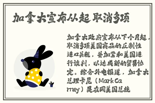 中国xv站安装包最新版